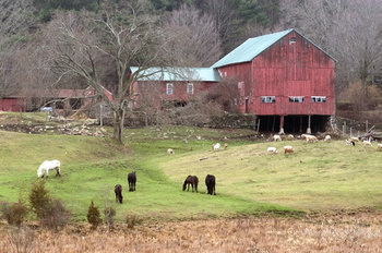 rsz_gluck_farm_0005